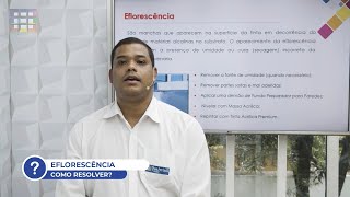 Eflorescência  Como Resolver [upl. by Ethban]