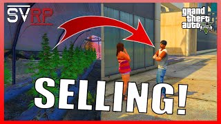 Weed GROWING and SELLING  GTA 5 RP Subversion Roleplay [upl. by Enamrahc]