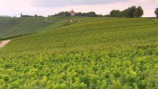 WineProducing Regions  Mosel Pfalz and Franconia  Discover Germany [upl. by Ahsed]