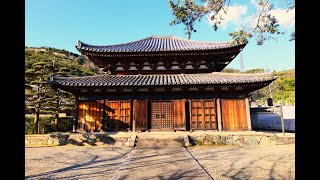 JG8K HDR 和歌山 善福院国宝 WakayamaZenpukuinNational Treasure [upl. by Aneetsyrk588]