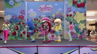 DSS 2013 Week 4 Entertainment in Mirdif City Centre Part 1 [upl. by Gruver25]