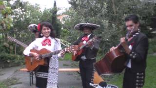 CANTA CANTA MEXIKANISCHE MUSIK ADELITA MARIACHI FLORES TEL 4178 948 65 54 infomariachismusikch [upl. by Naman]