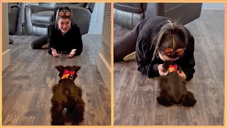 New Puppy Surprise Compilation 2024  Wholesome Surprise Moments [upl. by Karol923]