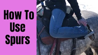 HOW TO USE SPURS WHEN RIDING HORSES [upl. by Hael]