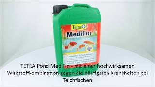 TETRA POND MediFin 3 L  Produktvideo  360°Ansicht [upl. by Essined178]