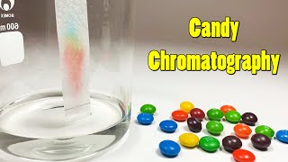 Candy Chromatography What Colors Are in Your Candy  Science Project [upl. by Anstus]