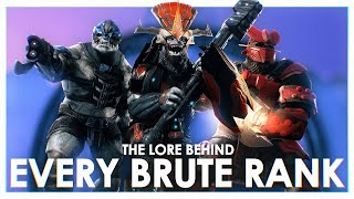 The Lore Behind ALL of the Brute Ranks and Armor  Halo [upl. by Nonnek]