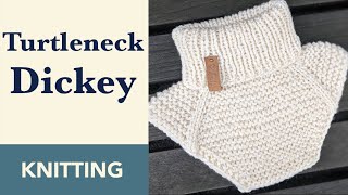 How to Knit Neck Warmer  Turtleneck Dickey Toddler Size Knitted Neck Warmer [upl. by Retsim]