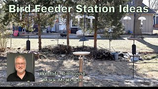 Bird Feeder Station Ideas [upl. by Anoirtac]