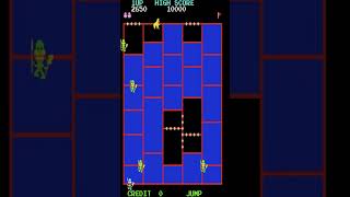 Amidar 1981 retrogamingloft amidar arcadegames [upl. by Josh903]