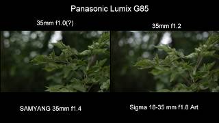 Lumix G85Samyang 35 vs Sigma 1835 mm f18 Art [upl. by Vaish]