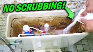 Clean Toilet Tanks without Scrubbing How to Use Citric Acid [upl. by Yoho51]