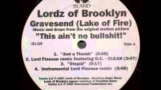 LORDZ OF BROOKLYN  LAKE OF FIRE EXTENDED REMIX [upl. by York]