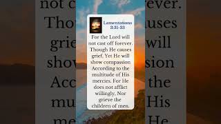 Lamentations 33133 jesuschrist bible shorts [upl. by Osnofedli470]