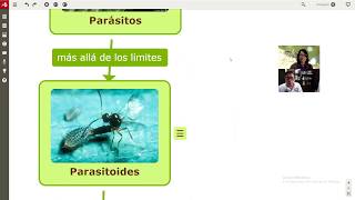 Interacciones ecológicas parte 5 Depredación herbivoría y parasitismo [upl. by Anilasor]