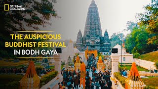 The Auspicious Buddhist Festival in Bodh Gaya  India’s Mega Kitchens  National Geographic [upl. by Oiliduab37]