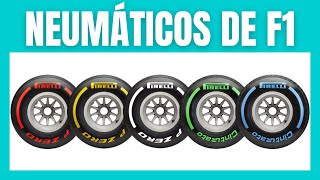 NEUMÁTICOS en F1 ⚫ Explicación de los básicos 👌 [upl. by Neelyad606]