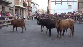 ENCIERRO DE PASADA EN BUÑUEL NAVARRA 16 08 2014 [upl. by Weitzman168]