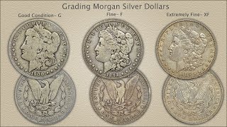 Grading Morgan silver Dollars [upl. by Dyan764]