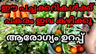 ഈ പച്ചക്കറികൾക്ക് പകരം ഇവ കഴിച്ച് നോക്കു ആരോഗ്യം ഉറപ്പ് viral viralvideo [upl. by Agnizn]