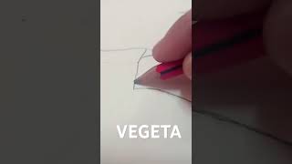 VEGETA [upl. by Buckels]