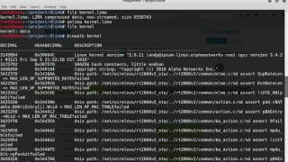 Introduction to Firmware Reversing [upl. by Athalia6]