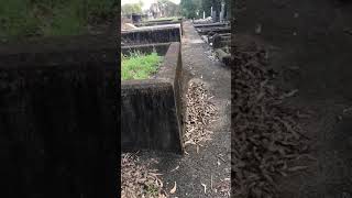 Nundah Historical Cemetery Tour amp Paranormal Spirit Talk [upl. by Atsed]