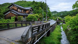 Early Morning Walk through Village and Farmland  Yumesaki Japan 4K Rural Ambience [upl. by Ereveniug]