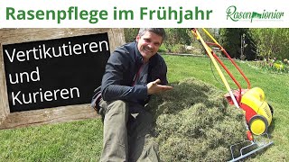 Rasenpflege im Frühjahr Rasenkur  Mähen Vertikutieren Harken Top Dressing Bürsten Bewässern [upl. by Raff]