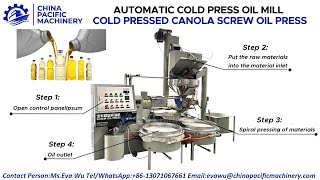 Screw Rapeseed Oil Press MachineSeed Oil Extraction MachineCanola Screw Oil Expeller Machine [upl. by Kliber662]