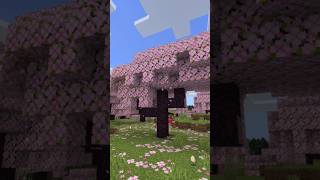 Mistik Minecraft effecti AnimaticZuzu minecraft [upl. by Fried467]