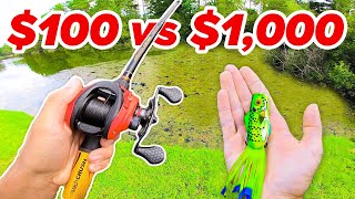 100 vs 1000 Budget Fishing Challenge Rod Reel Lures [upl. by Evangelist556]