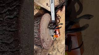 36 inch bar on the ms660 stihl stihlms660 trending [upl. by Suzanne]