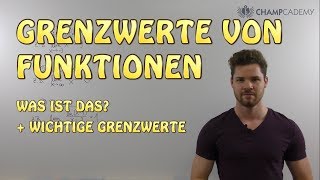 Grenzwerte von Funktionen Was ist das  Wichtige Grenzwerte [upl. by Nerac977]