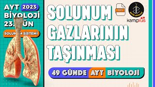 23 Solunum Gazlarının Taşınması  Solunum Sistemi 11 Sınıf  2023 AYT Biyoloji Kampı 23 Gün [upl. by Ledah]