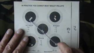 AIR ARMS S400 RIFLE TARGET PELLET SHOOTING ACCURACY TEST 1 [upl. by Suoicserp]