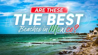 Are These The BEST Beaches to Live in Mexico Progreso Chelem Chicxulub [upl. by Janeen]