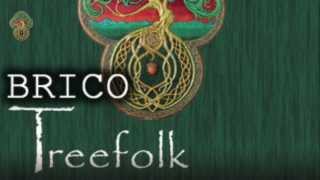 Brico Treefolk  Cómo aislar acusticamente un pabellón multiusos con cartones de huevos [upl. by Green483]