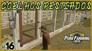 16  Gaiola para Coelhos  Pure Farming 2018 [upl. by Alemat]