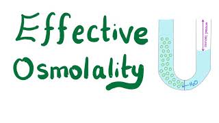 Effective Osmolality [upl. by Katrina719]