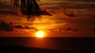 Sunset with Palmtrees  Real Time  Hinako Islands  Indonesia 07th of May 4K [upl. by Rosemonde]