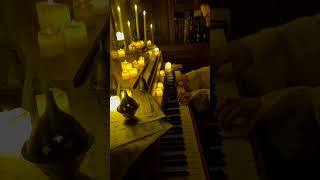 A night waltz classicalcomposer music piano chopin darkacademia waltz [upl. by Odel]