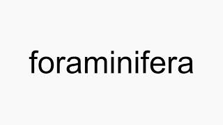 How to pronounce foraminifera [upl. by Nogam]