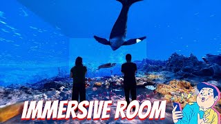 Immersive Room Revealed A Complete Guide to 360Degree Projection Experiences [upl. by Ettore]