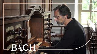 Bach  Pastorella in F major BWV 590  Smits  Netherlands Bach Society [upl. by Dillie]