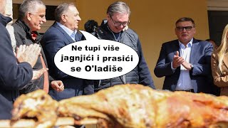 Mile izneo prasiće u Pambukovici 😄 [upl. by Buschi]