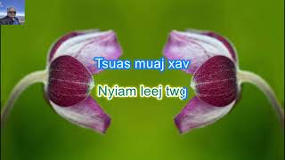 Hlub Niam Laus Tshuav Niam Hluas Karaoke By Taws Tsab [upl. by Deragon]