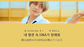 【カナルビ日本語訳】 DNA  BTS 防弾少年団 [upl. by Otsuj]