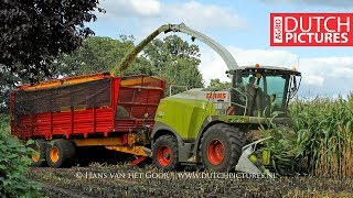 Mais hakselen 2018  Claas Jaguar 930  Fendt  Wassink Breklenkamp  Maize [upl. by Lyall35]