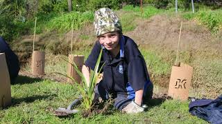 2024 Kaipara Moana Remediation Auckland BFEA [upl. by Ltney]